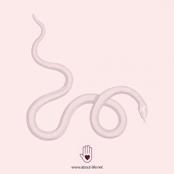 Wenn dich jemand verletzt...